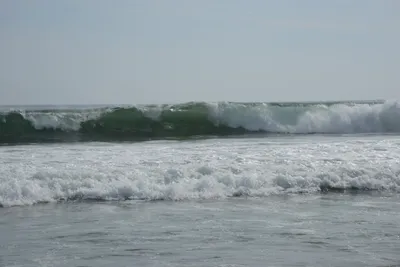 DSC_2263 (Large).JPG